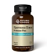 Протеаза Плюс (Protease Plus)