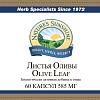 Листья Оливы (Olive Leaf)