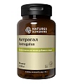 Астрагал (Astragalus)