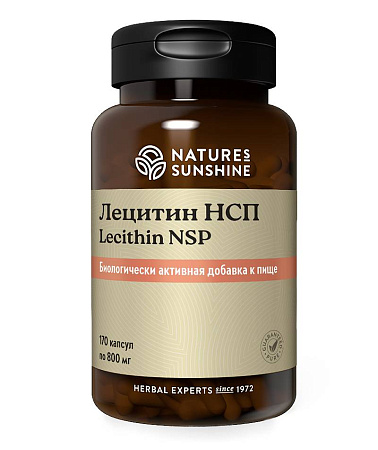 Лецитин (Lecithin)