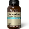Протеаза Плюс (Protease Plus)