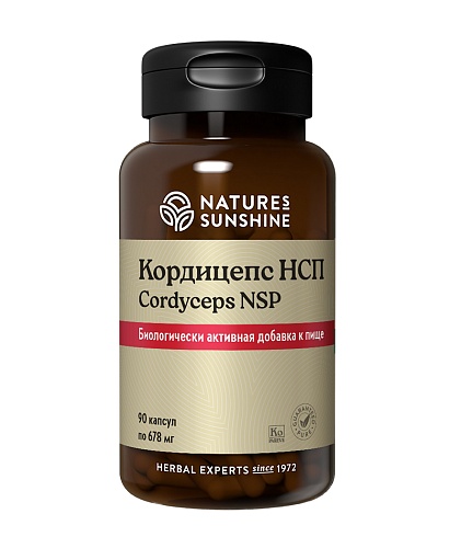 Кордицепс (Cordyceps)