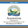 Хондроитин (Chondroitin)