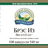 Брэс Из (Breath Ease)