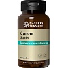 Стевия (Stevia)