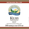 Келп (Kelp)