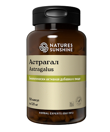 Астрагал (Astragalus)