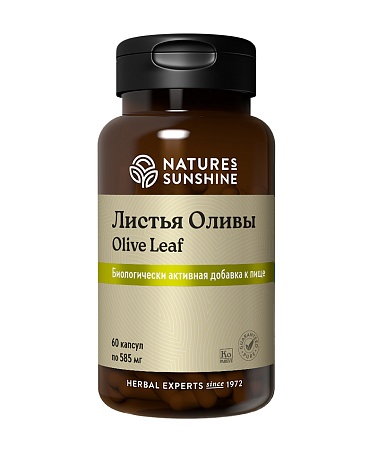 Листья Оливы (Olive Leaf)