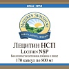Лецитин (Lecithin)